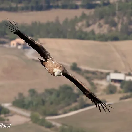 Entre Sisteron Et Gorges De La Meouge 
